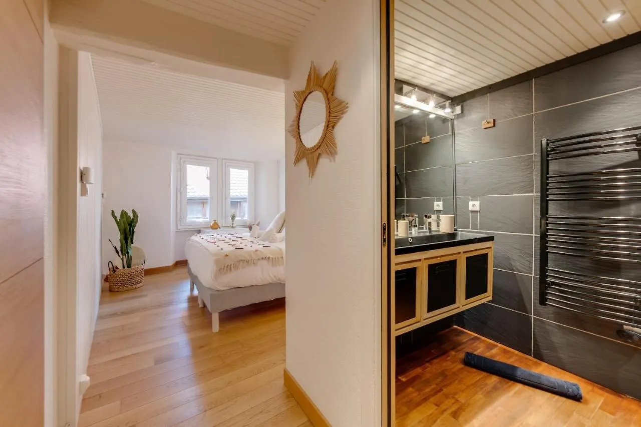 La Tour du Lac - Bel appartement en plein coeur d'Annecy  Annecy